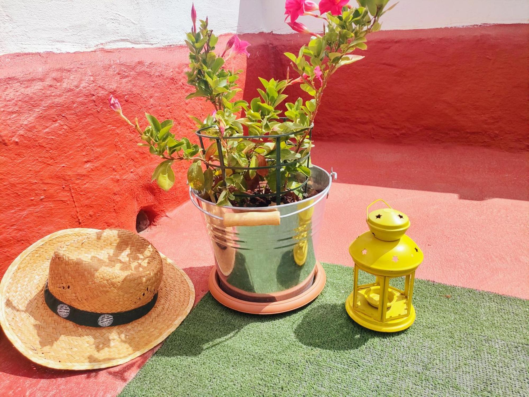 Casa El Escano Granadilla De Abona Eksteriør billede