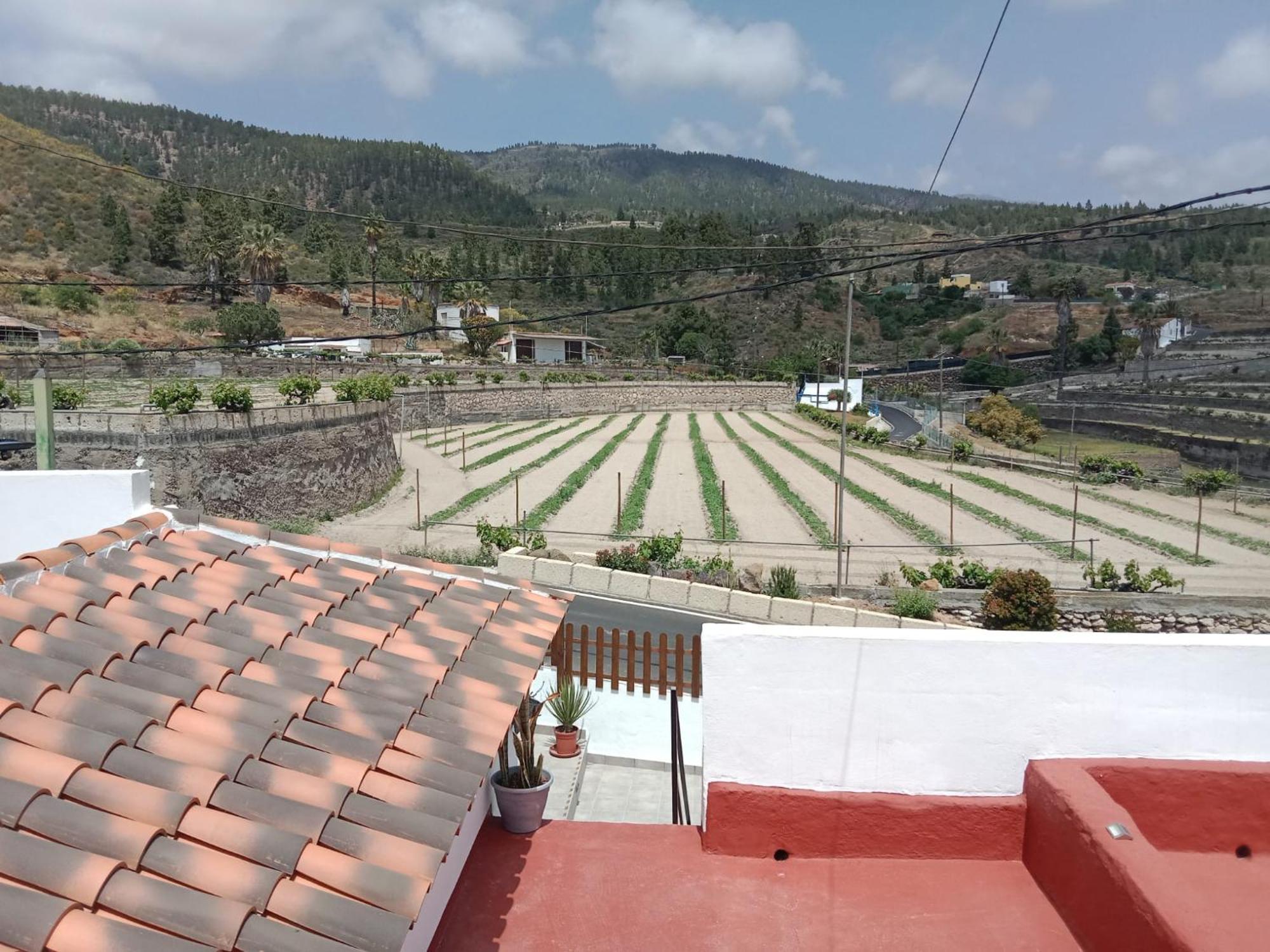 Casa El Escano Granadilla De Abona Eksteriør billede
